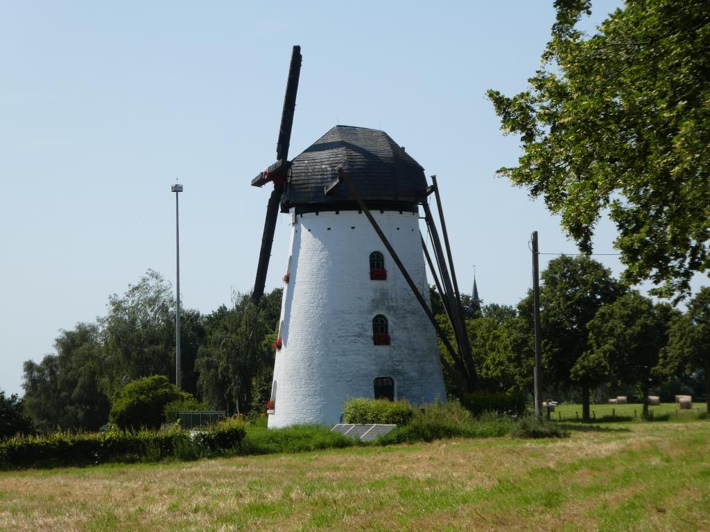 Stammenmühle - 2021